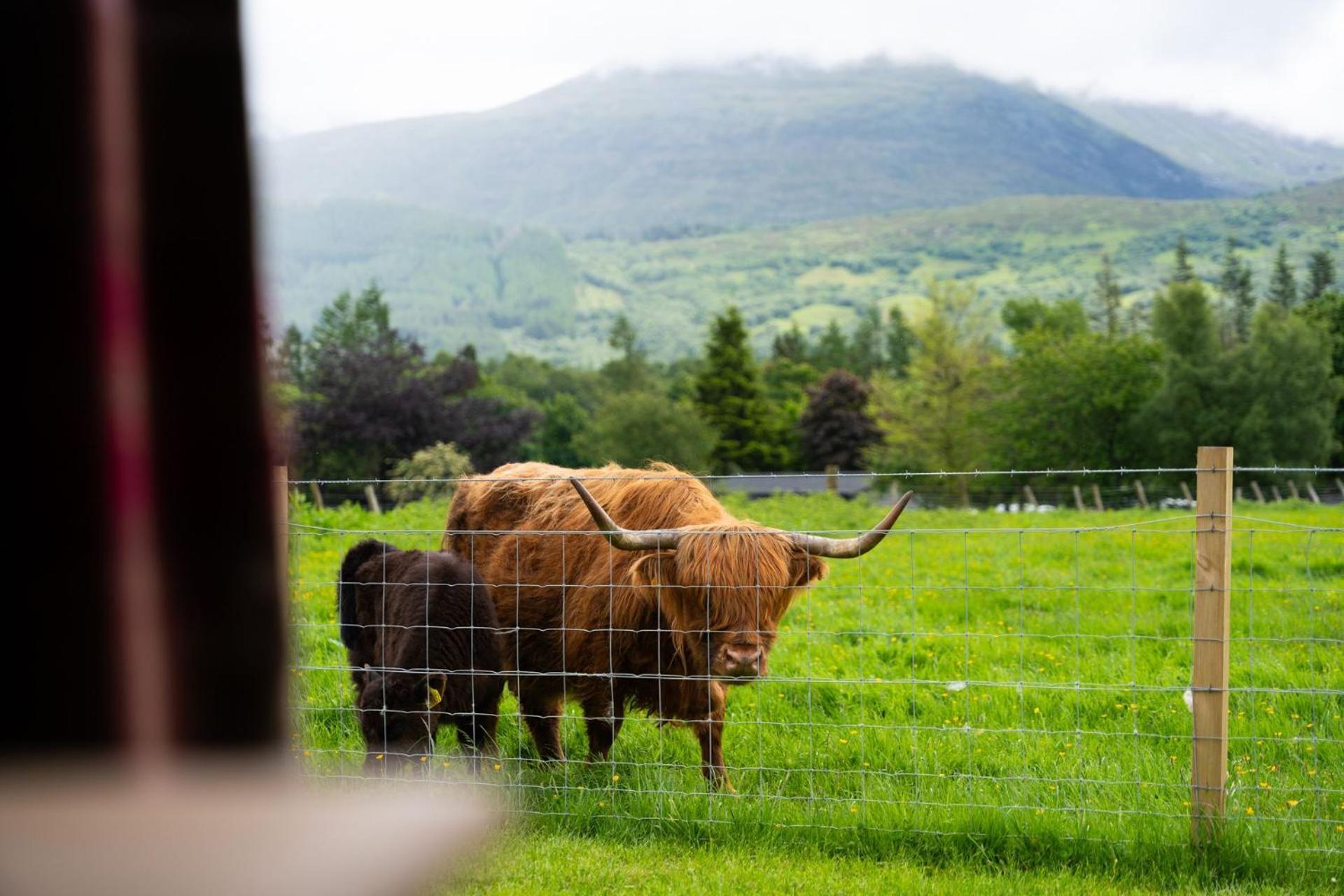 Aonach Mor Pod Villa Fort William Buitenkant foto